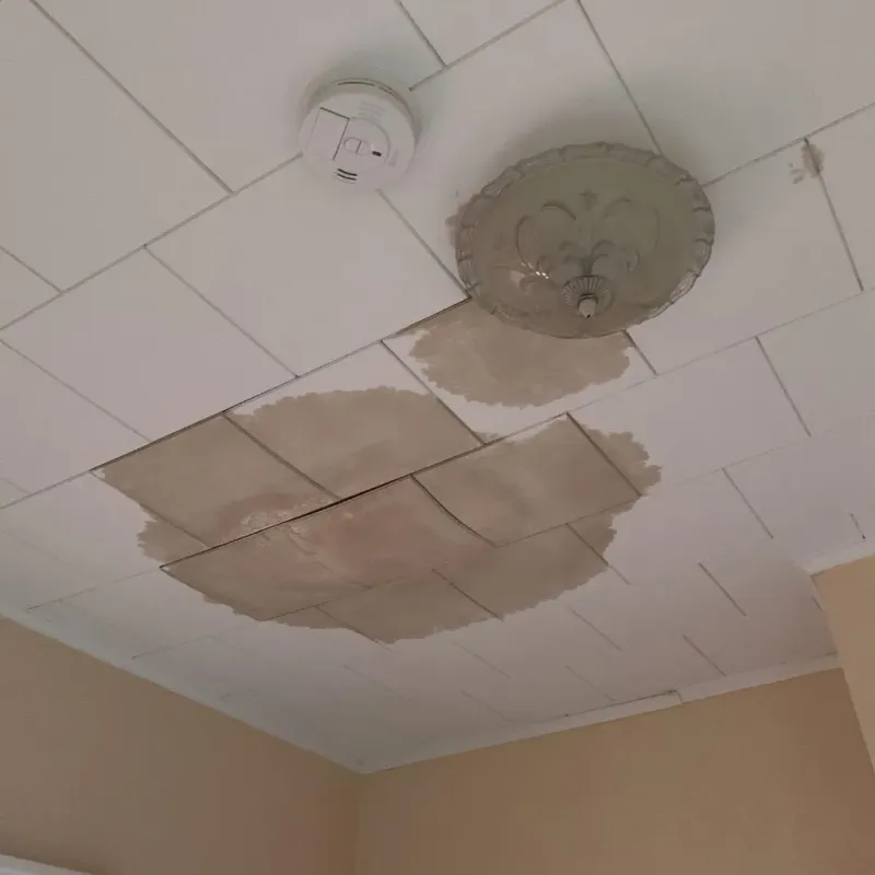 Ceiling Water Damage Repair in Saint Louis County, MN
